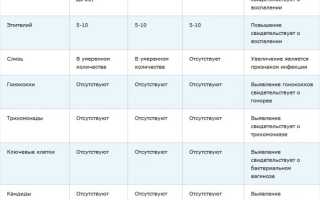 Бластоспоры в мазке