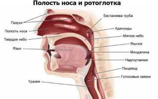 Причины храпа и механизм его возникновения