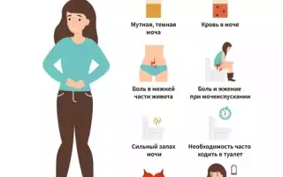 Особенности течения травматического цистита