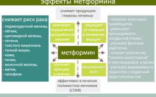 Метформин продлевает жизнь?