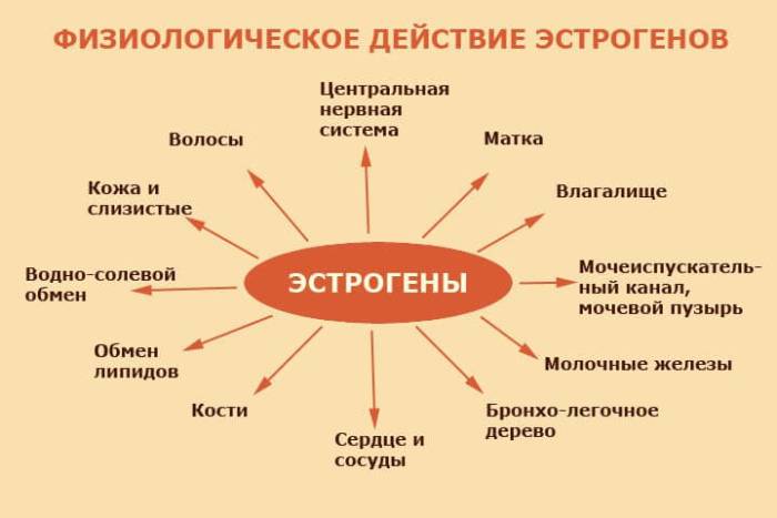 эстогены