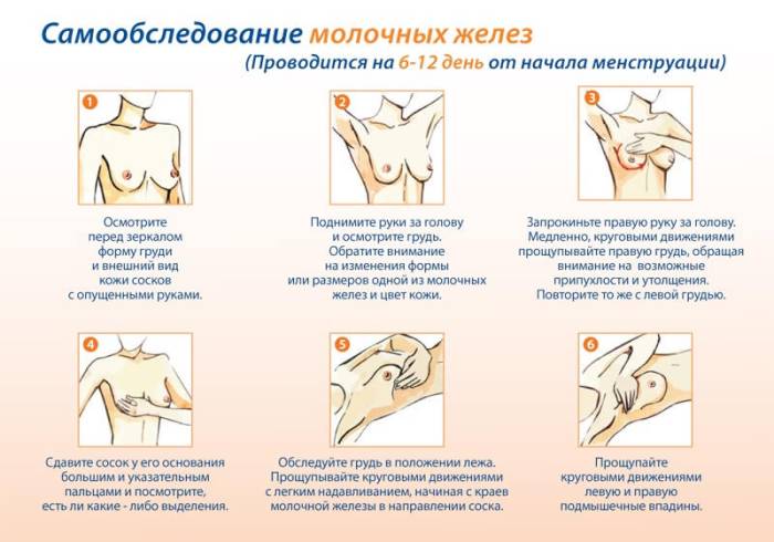 Нажмите для увеличения Самостоятельное обследование