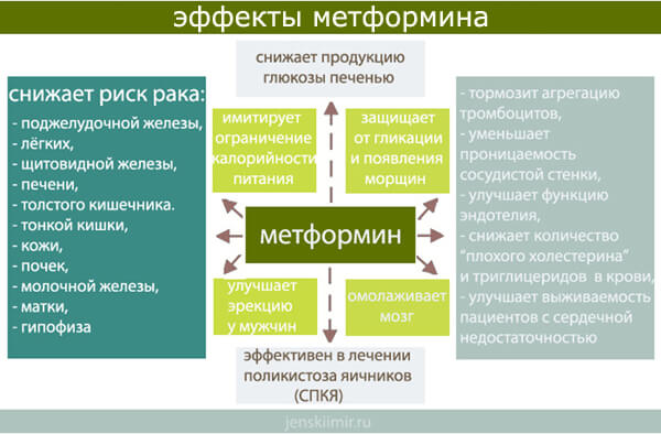 действие метформина на организм